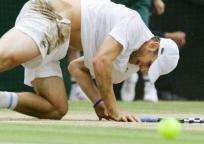 roddick_wb05