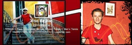twitterVdM