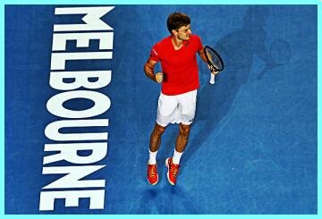 goffin_ao16.