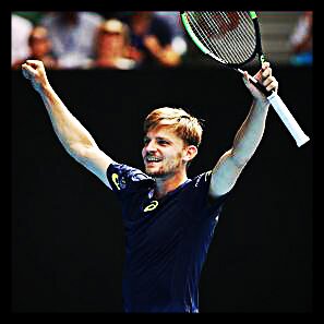 goffin_ao17